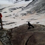 Aiguille d'Argentière - 11 juillet 2021